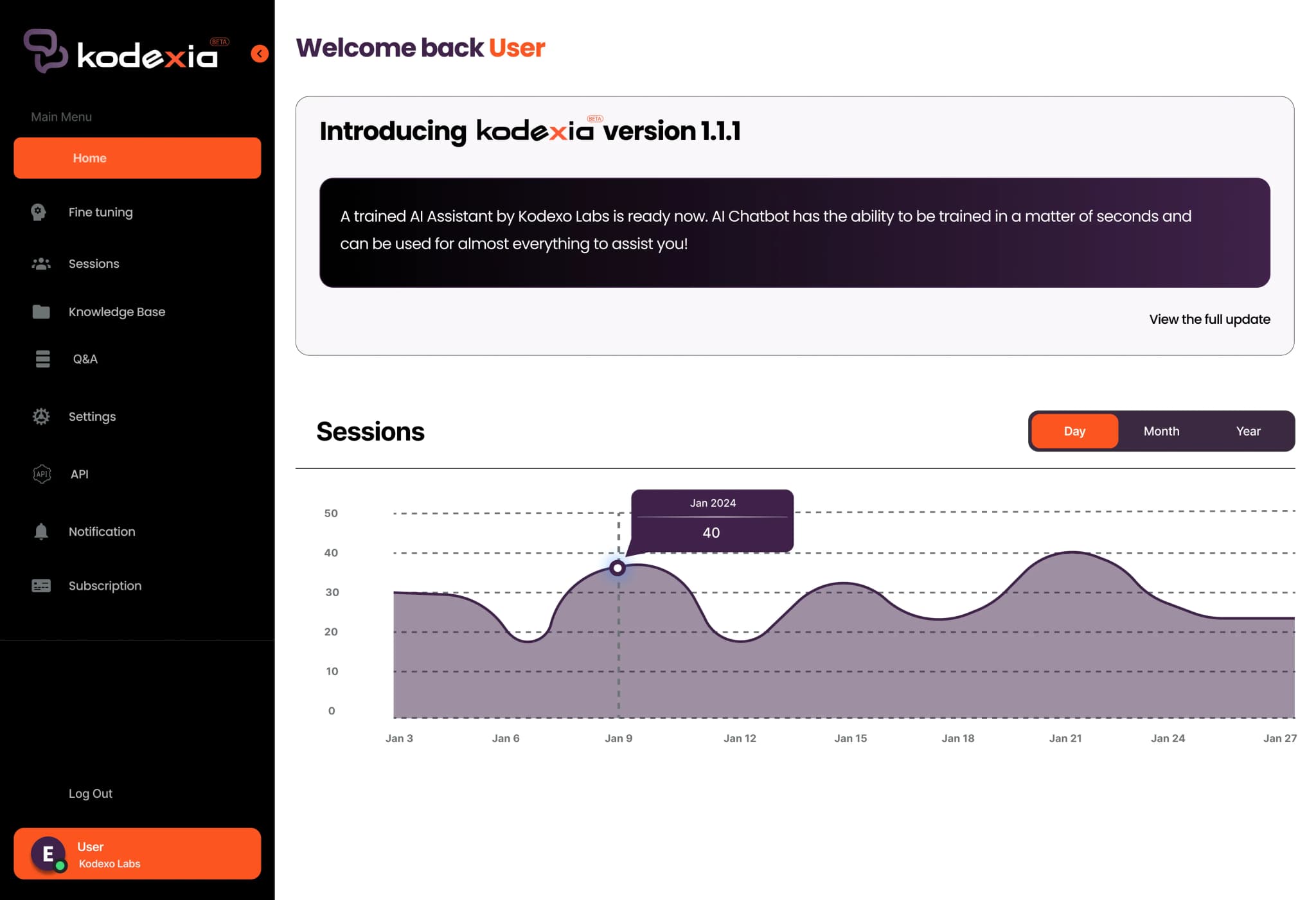 Kodexia dashboard home showing sessions over time