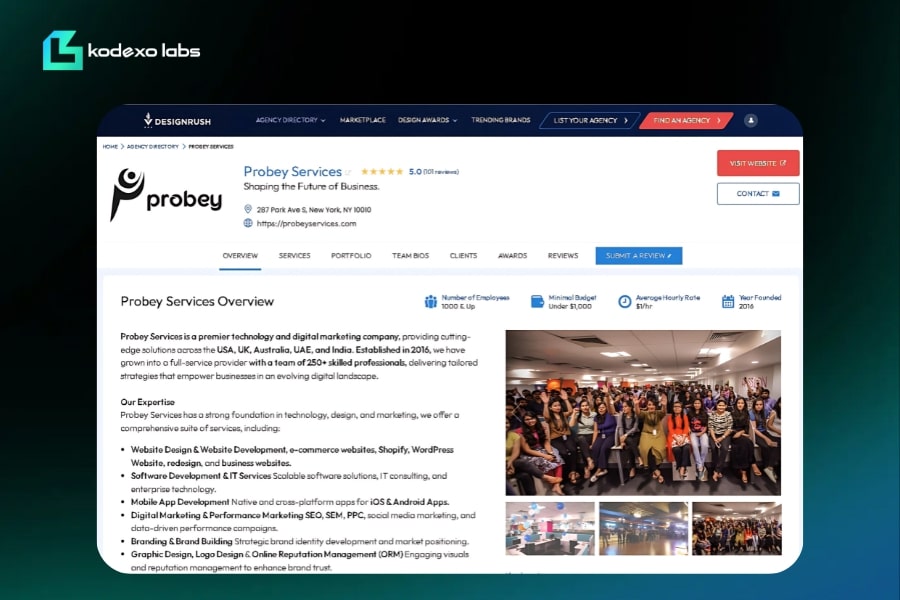 Probey Services DesignRush profile showing team strength, service offerings, and agency highlights across global markets.
